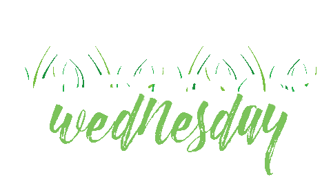 Wheat Grass Juice Sticker by Intelligent Gourmet