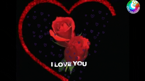 Te Amo Corazon GIF by murcianys