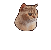 British Shorthair Cat Sticker