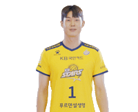 Kb스타즈 Sticker by KB STARS VOLLEYBALL CLUB
