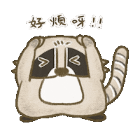 Hong Kong Raccoon Sticker