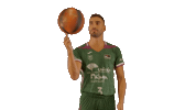 Liga Endesa Basketball Sticker by ACB