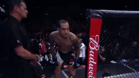 ufc 212 GIF