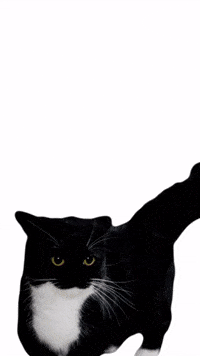 True GIF