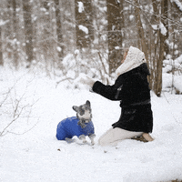 Happy Dog GIF