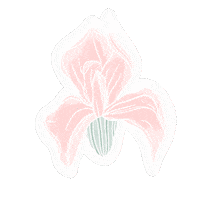 February Iris Sticker