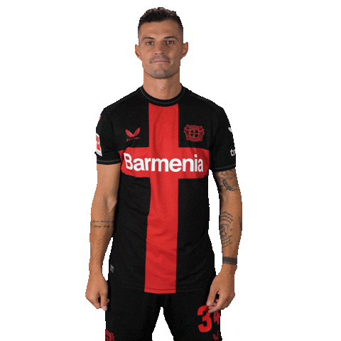 Bayer 04 No Sticker by Bayer 04 Leverkusen