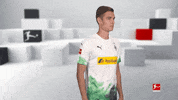 Posing Line Up GIF by Bundesliga