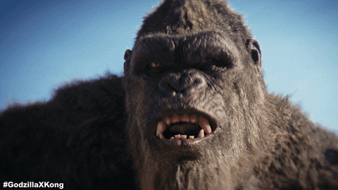Godzilla Kong GIF by Warner Bros. Pictures