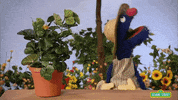 spring plant GIF by Sesame Street