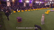 French Bulldog GIF by Westminster Kennel Club