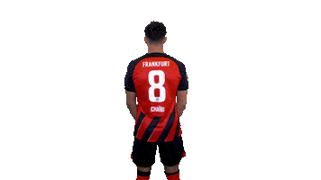 Turn Sge Sticker by Eintracht Frankfurt