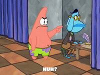 season 4 GIF by SpongeBob SquarePants