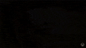Xbox One GIF by Xbox