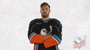 National Hockey League No GIF by San Diego Gulls