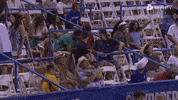 Too Much Fun What GIF by Tennis TV