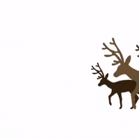 jurawhisky jurawhisky alongwayfromordinary GIF