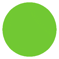 Pop Star Flower Sticker by Benary