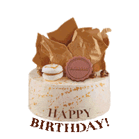 happy birthday cake Sticker by Wanderbites