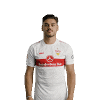 Football Soccer Sticker by VfB Stuttgart