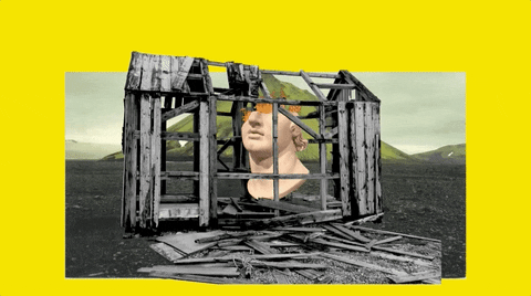 GIF by Temple Caché