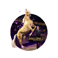 Glitter Horse Sticker by Rotterdam Ahoy