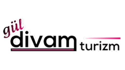 divamturizm giphyupload Sticker