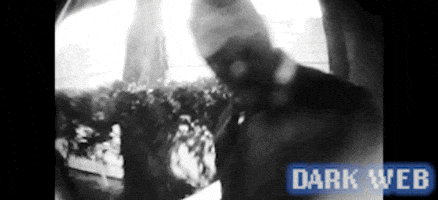 Suspicious Mask GIF by Dark Web