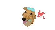 Dog Yaya Sticker