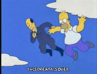 homer simpson GIF