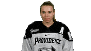 Sticker by Providence Friars