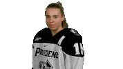 Sticker by Providence Friars