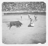 Culture Cape GIF by Archives départementales de l'Hérault