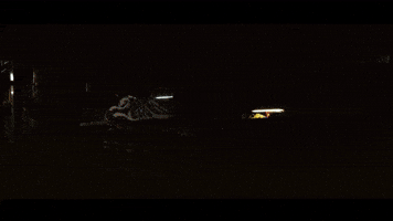 Lights Garage GIF by PRINOTH