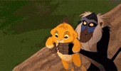 Islomjon106 king lion throw lion king GIF