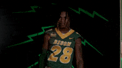 Bison Alexander GIF by NDSU Athletics