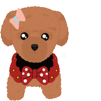 Poodle Sticker by PUPPY PET