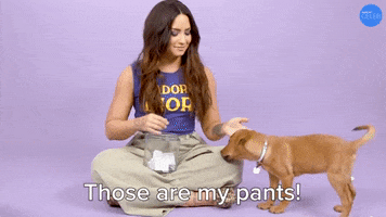 Demi Lovato My Pants GIF by BuzzFeed