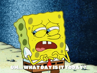 season 6 house fancy GIF by SpongeBob SquarePants