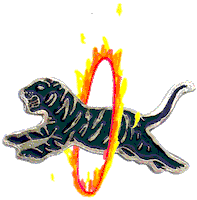 tiger tigre dement dementstore studiodement Sticker