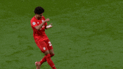 Champions League Football GIF by FC Bayern Munich
