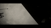 GIF by gilespates