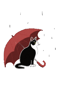 Cat Rain Sticker