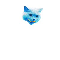 Cat Rainbow Sticker by Shutterstock