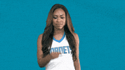 Honey Bees Love GIF by Charlotte Hornets