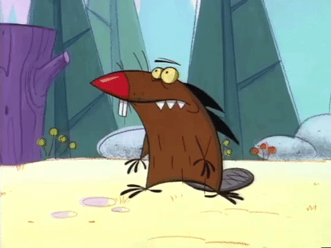 nickrewind giphydvr nicksplat angry beavers giphyab005 GIF