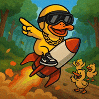 Lets Go Rocket GIF by Duck Race GP