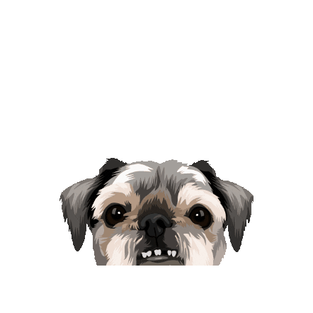 Lhasa Apso Dog Sticker by Pickle's Pawtraits