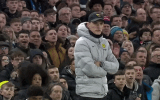 Champions League Football GIF by UEFA