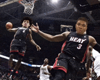 Towson GIF